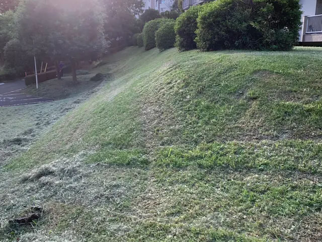 雑木の庭は草刈り必要ありませんサービスの画像