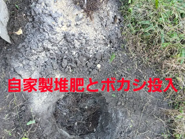 【造園業20年☆庭園管理士】樹木のその時の状態に適した施工を行います。サービスの画像