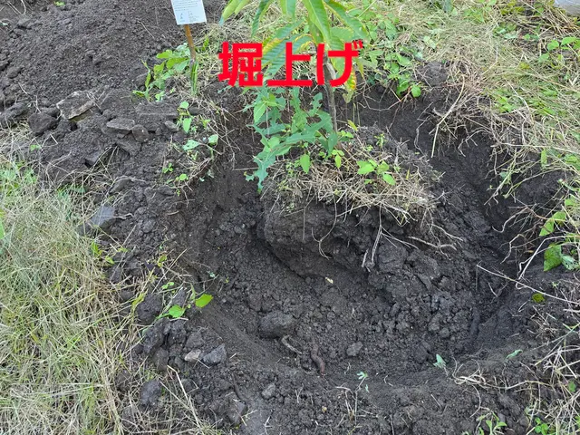 【造園業20年☆庭園管理士】樹木のその時の状態に適した施工を行います。サービスの画像