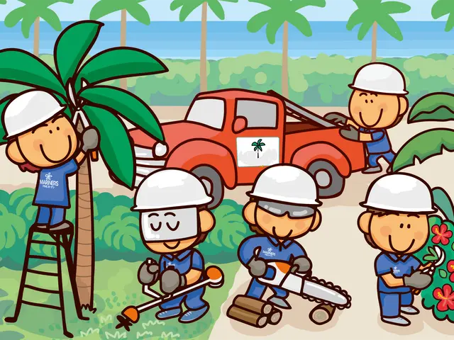 伐採３本以上割引有　クライミング＆弊社クレーン車対応可です、高木もご相談下さい。サービスの画像