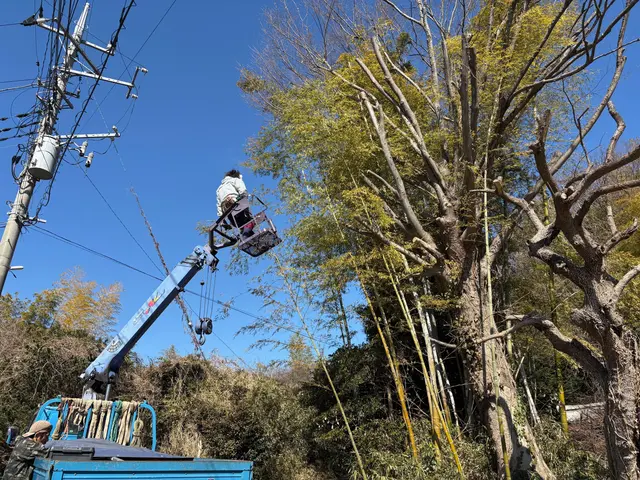 伐採３本以上割引有　クライミング＆弊社クレーン車対応可です、高木もご相談下さい。サービスの画像