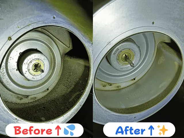 【有資格者】電気工事士/ハウスクリーニング士の店長がピカピカ作業◎サービスの画像