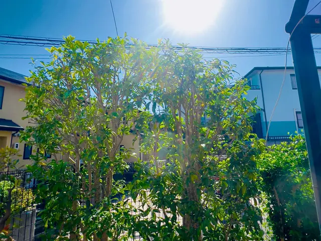 夫婦でお伺い可能です。迅速に対応し、理想のお庭にするサポートをさせていただきますサービスの画像