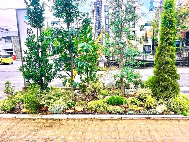 《スッキリ》《形を維持》することが出来ます。切り方もピンキリ。プロの仕事を提供。サービスの画像