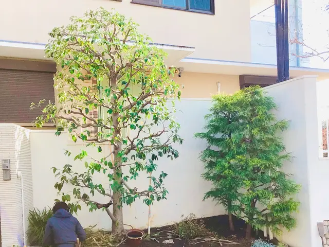 夫婦でお伺い可能です。迅速に対応し、理想のお庭にするサポートをさせていただきますサービスの画像