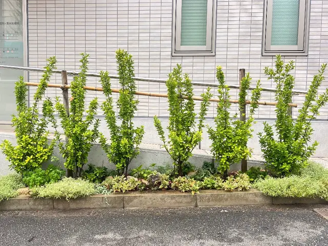 夫婦でお伺い可能です。迅速に対応し、理想のお庭にするサポートをさせていただきますサービスの画像