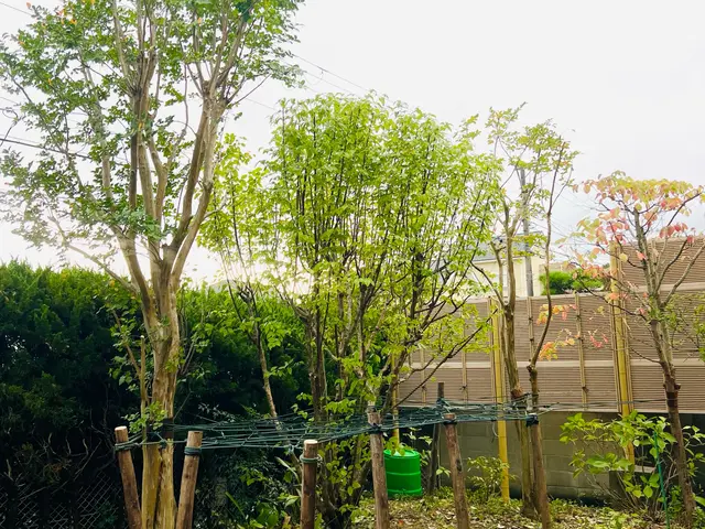 夫婦でお伺い可能です。迅速に対応し、理想のお庭にするサポートをさせていただきますサービスの画像