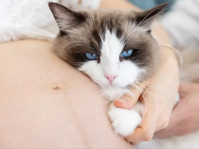 【全カットレタッチ】カメラマン厳選30カット以上納品！次回撮影2,000円割引