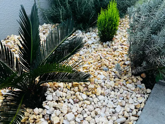 ★損害保険加入★１級土木・舗装施工管理技士★の店長が作りだす砂利敷★サービスの画像