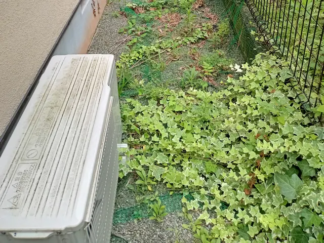 ◎12.000円/10㎡は手取り作業の料金です！機械刈りは割引料金と成ります！サービスの画像