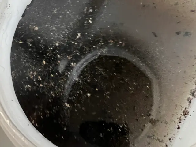 大手家電量販店も認める確かな技術力と丁寧な対応！エコ洗剤使用でお子様も安心！サービスの画像