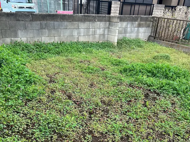「機械で草刈り！広い土地も短時間でスッキリ美しく！」「電動工具で騒音軽減！！」サービスの画像