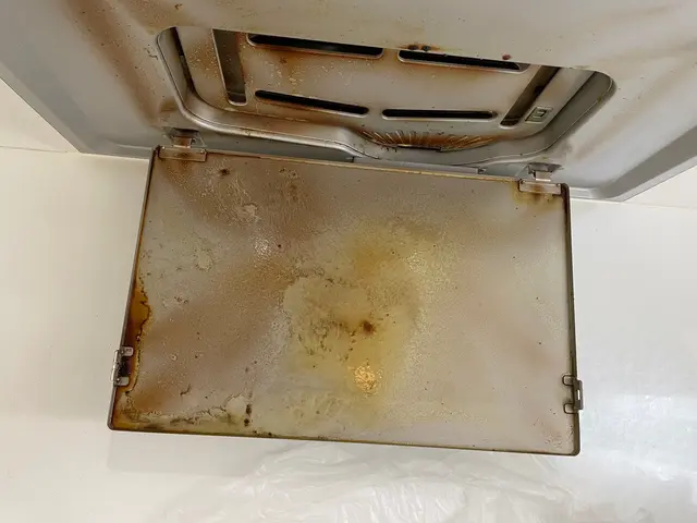 【女性スタッフで安心】☆除菌＆防汚コーティング付き☆☆リピート割1,000円☆サービスの画像