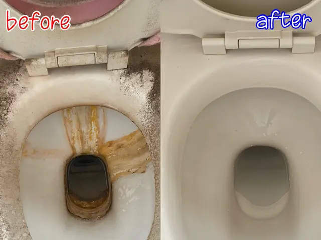 元保育士が伺います☆撥水コーティング込み☆★損害保険加入店舗★サービスの画像