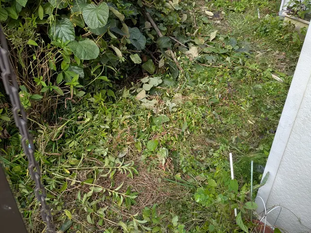 お庭の草刈りお受け致します。荒れたお庭もご相談ください。サービスの画像