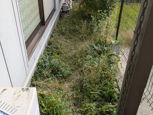 お庭の草刈りお受け致します。荒れたお庭もご相談ください。サービスの画像