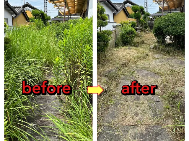 ★草なら私にお任せを★農業に従事する草のプロが心を込めて丁寧に作業します！サービスの画像