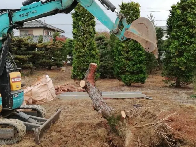 大きくなりすぎた木や支障木の撤去お任せください！伐採、抜根対応可サービスの画像