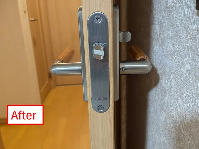 室内ドアの穴あき補修やイメージチェンジに！サービスの画像