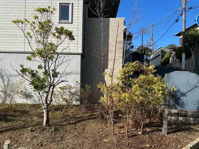 小さな庭木、1本から承ります！親切・丁寧・安心作業☆サービスの画像