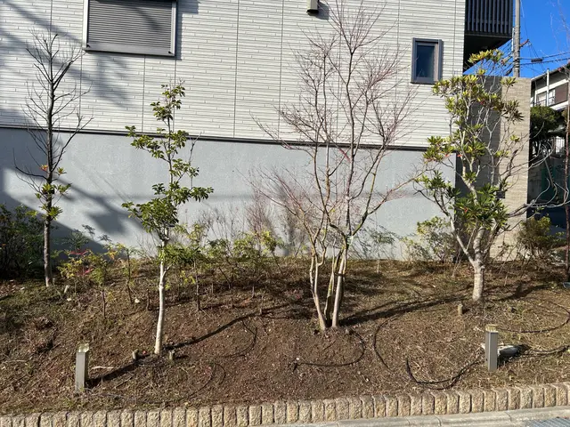 小さな庭木、1本から承ります！親切・丁寧・安心作業☆サービスの画像