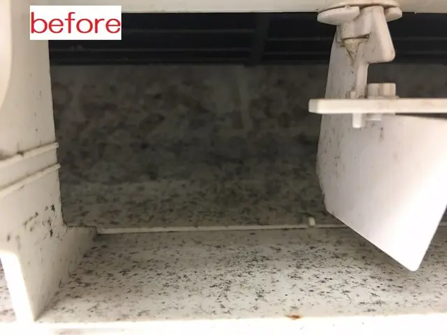 2台以上がお得！ 低刺激洗剤使用！安心の保険加入店！サービスの画像