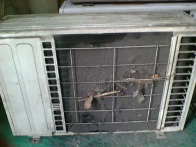 2台以上がお得！ 低刺激洗剤使用！安心の保険加入店！サービスの画像