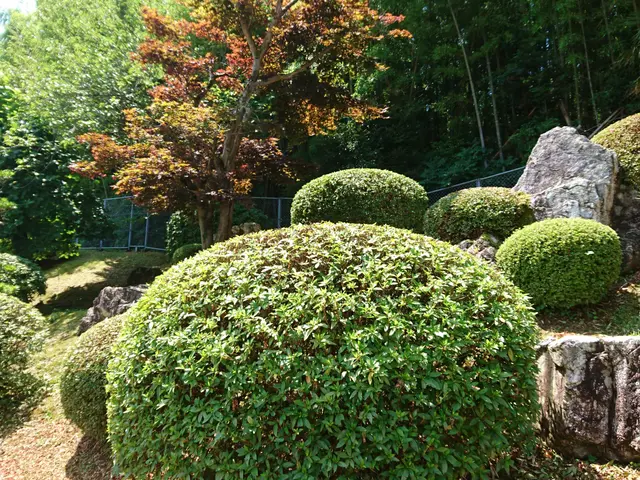 プロの技術でご満足いただけるように心を込めて作業いたしますサービスの画像