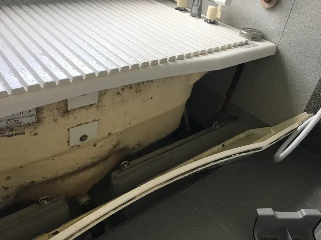 【人と地球にやさしい安心・安全な天然植物洗剤使用】★10年以上の経験実績★サービスの画像