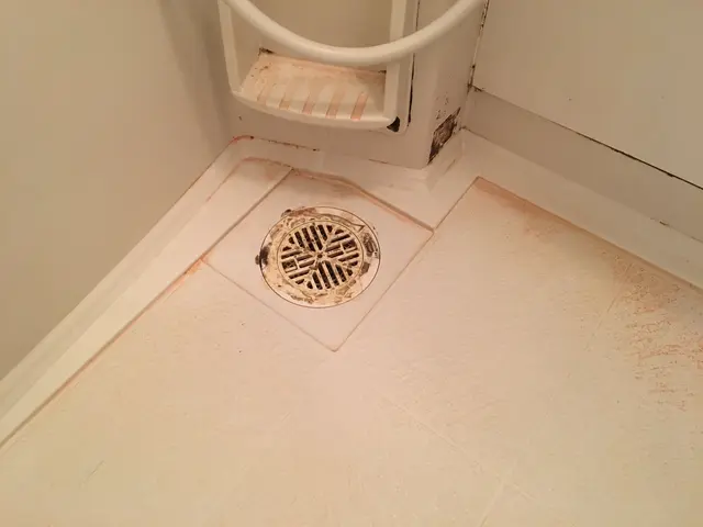 【人と地球にやさしい安心・安全な天然植物洗剤使用】★10年以上の経験実績★サービスの画像