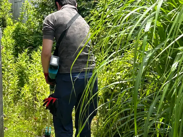 ◎地域密着店◎雑草放置はトラブルの元！空き家 空き地 畔道など何でもどうぞ！サービスの画像