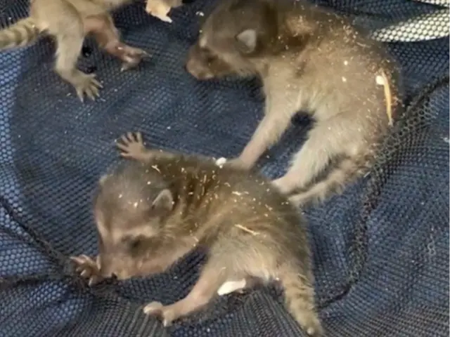 ◆関西一円OK◆大手業務経験あり◆駐車代お店負担◆営業時間外も対応可能サービスの画像