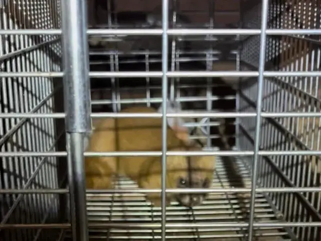 ◆関西一円OK◆大手業務経験あり◆駐車代お店負担◆営業時間外も対応可能サービスの画像