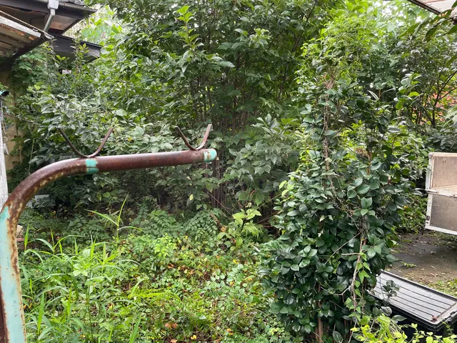 【庭木の伐採・抜根】100%自社対応◎営業時間外・対応地域外もご相談ください。サービスの画像