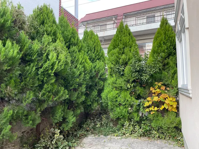 【庭木の伐採・抜根】100%自社対応◎営業時間外・対応地域外もご相談ください。サービスの画像