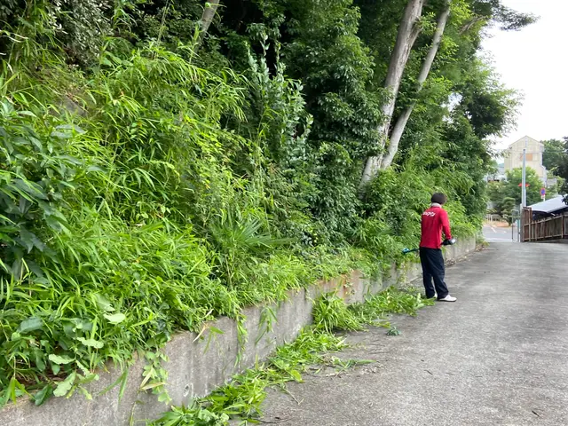 草刈り4名以上での作業も承ります！刈草回収のみも相談下さい。サービスの画像