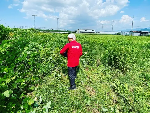 草刈り4名以上での作業も承ります！刈草回収のみも相談下さい。サービスの画像