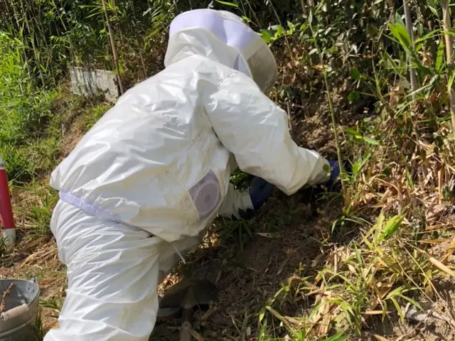 アシナガバチ〜オオスズメバチまで迅速に対応可能！【高所、屋根裏 、24h対応可】サービスの画像