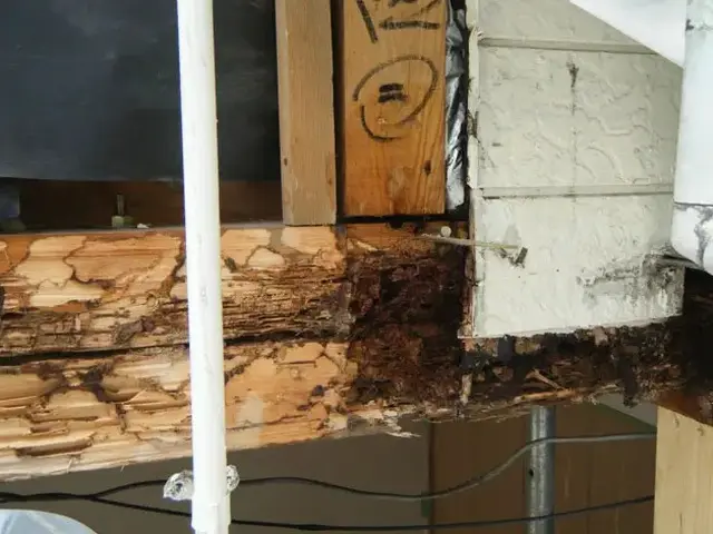 白アリ駆除歴10年以上の有資格者多数在籍【事前見積り無料】【事前調査可能】サービスの画像