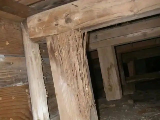 白アリ駆除歴10年以上の有資格者多数在籍【事前見積り無料】【事前調査可能】サービスの画像