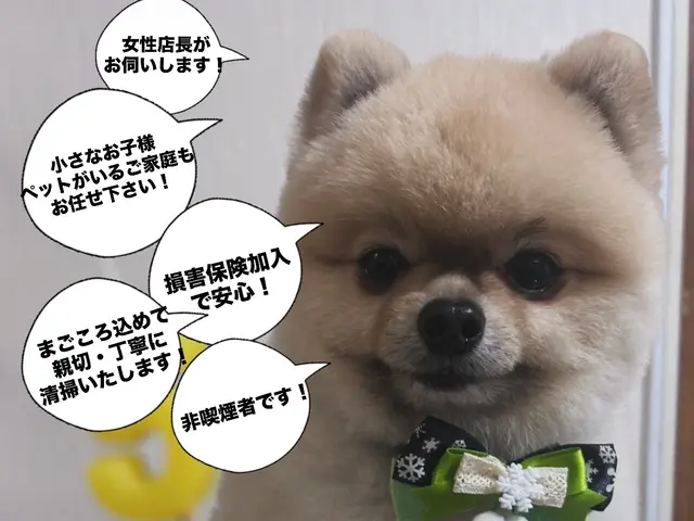 ◤女性店長が必ずお伺い！◢◎単身の女性も安心◎安心の損害保険加入済み◎サービスの画像