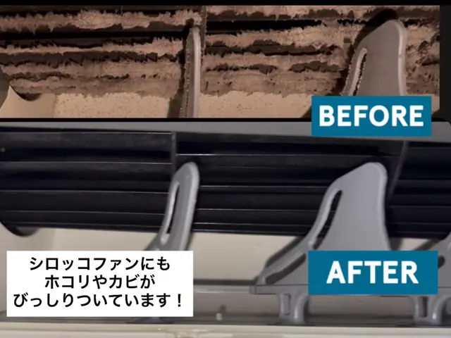 ◤女性店長が必ずお伺い！◢◎単身の女性も安心◎安心の損害保険加入済み◎サービスの画像