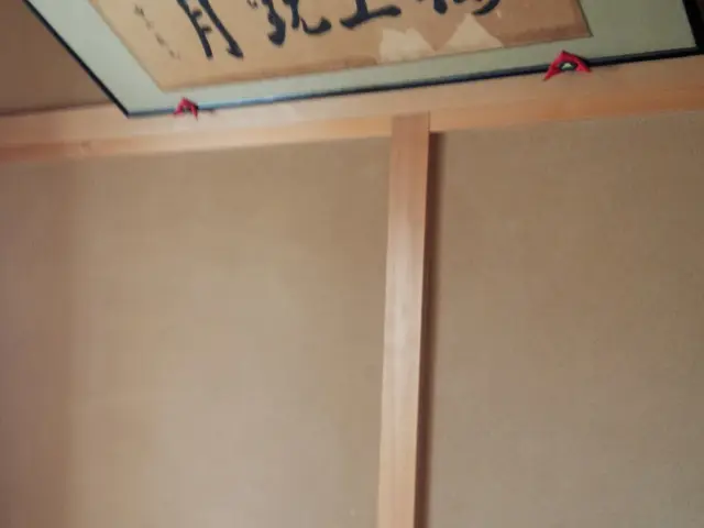 左官仕事お任せ。漆喰、珪藻土、モルタル塗り替え、クロスから新規塗り致します。サービスの画像