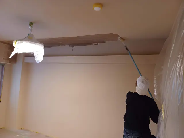 左官仕事お任せ。漆喰、珪藻土、モルタル塗り替え、クロスから新規塗り致します。サービスの画像