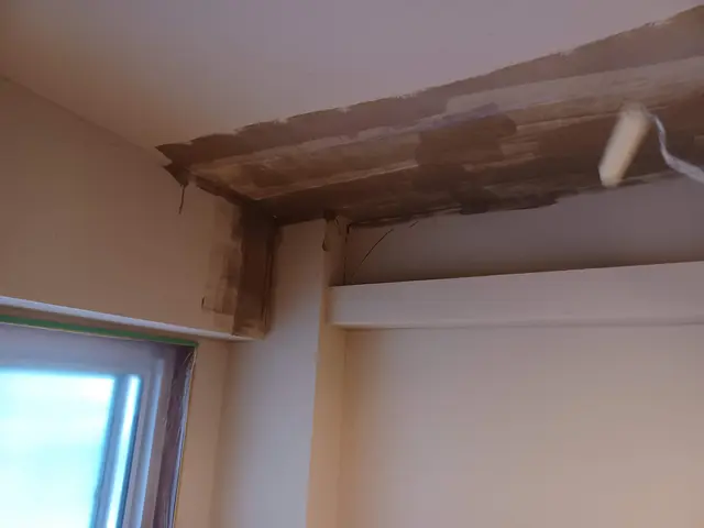 左官仕事お任せ。漆喰、珪藻土、モルタル塗り替え、クロスから新規塗り致します。サービスの画像