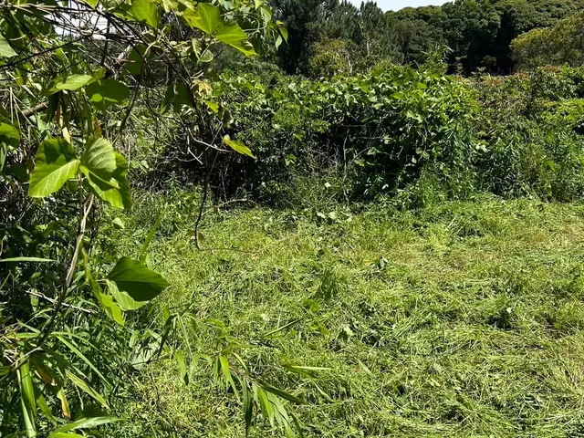 【業歴10年の実績】自社スタッフがお伺いします◎アフターフォローも万全サービスの画像