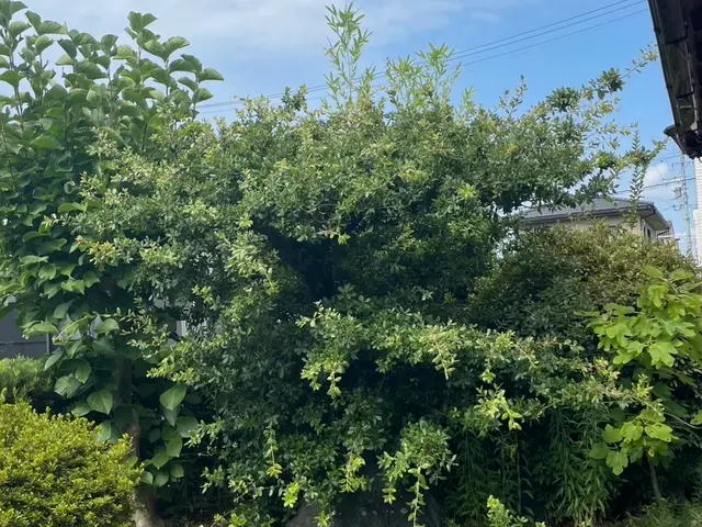 外注一切無★損害保険加入済★駐車場代店負担サービスの画像