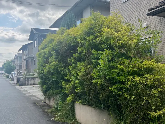 外注一切無★損害保険加入済★駐車場代店負担サービスの画像