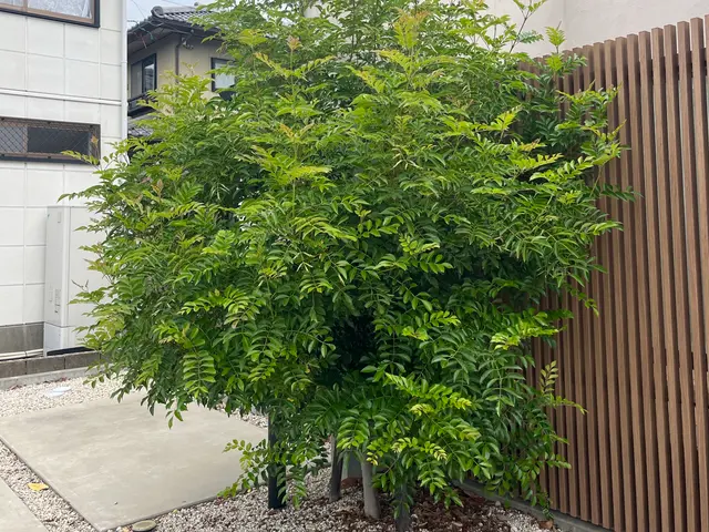 外注一切無★損害保険加入済★駐車場代店負担サービスの画像