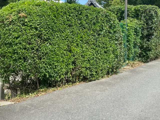 プロの技術でご満足いただけるように心を込めて作業いたしますサービスの画像